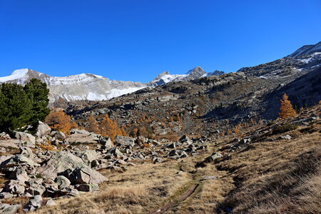 Les Eaux Tortes (Vallon du Laverq), Le Vallon du Laverq 042