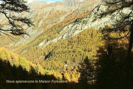 Les Eaux Tortes (Vallon du Laverq), Le Vallon du Laverq 044
