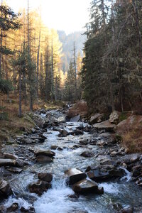 Les Eaux Tortes (Vallon du Laverq), Le Vallon du Laverq 045