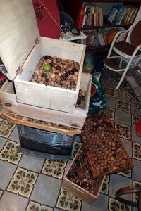 Charroux Toussaint 2024, 2024-10-27_0013
