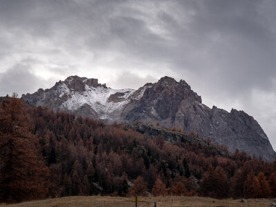 07-11-24 Tour Grand Aréa, _1097271