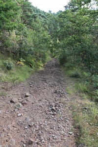 2024_09_03 Du Puy-en-Velay à Chadernac (Le Brignon), IMG_7337 Le sentier entre Tarreyres et Concis