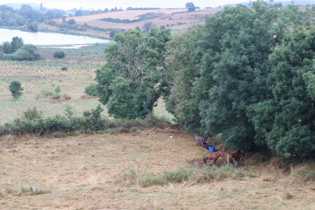 2024_09_04 De Chadernac (Le Brignon) à Langogne, IMG_7378 L’étang du Péchay