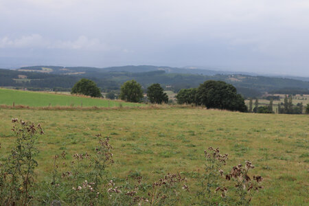 2024_09_04 De Chadernac (Le Brignon) à Langogne, IMG_7459 Entre Pradelles et Langogne