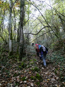 les hauts du Val Suzon le 7 novembre 2024, P1080141