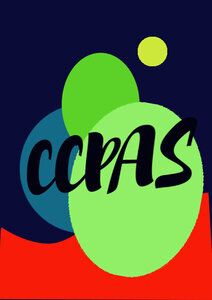 logo CCPAS, essaiIdVisuelle5