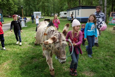 Festival Montagn'arts 2015, Montagn_Arts 072