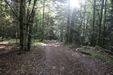 2024_09_06 De La Bastide-Puylaurent à La Garde-Guérin, IMG_7575 Le chemin du Mas Conseil