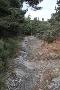 2024_09_06 De La Bastide-Puylaurent à La Garde-Guérin, IMG_7607 Vestiges de la Via Regordana entre le Thort et la Molette