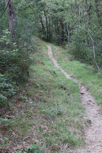 2024_09_06 De La Bastide-Puylaurent à La Garde-Guérin, IMG_7651 Le sentier avant la Baraque