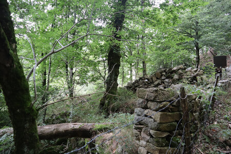 2024_09_06 De La Bastide-Puylaurent à La Garde-Guérin, IMG_7660 Ruines dans la combe du ravin de la Baume Rouge