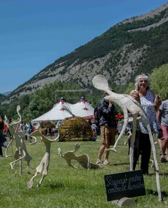 Festival Montagn'arts 2019 par Raf, DSC_0202