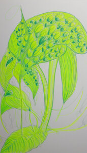 IMAGES CREER AVEC IA, BASE DESSIN PERSO 19112024  18 
