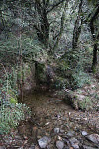 2024_09_08 De Villefort à Génolhac, IMG_7812 La vallée du Valat du Collet