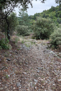 2024_09_08 De Villefort à Génolhac, IMG_7818 Vestiges de la Via Regordana dans la vallée du valat du Collet