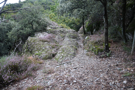 2024_09_08 De Villefort à Génolhac, IMG_7820 Vestiges de la Via Regordana dans la vallée du valat du Collet