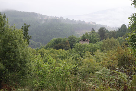 2024_09_08 De Villefort à Génolhac, IMG_7843 Entre Plagnol et Le Planiol