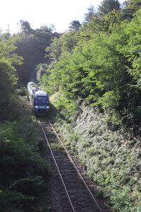 2024_09_09 De Génolhac aux Mènes, IMG_7902 Entre Le Pont-du-Mas et Belle-Poelle