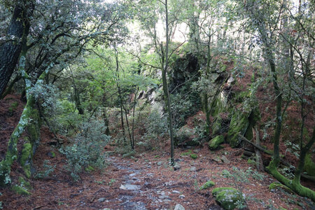 2024_09_09 De Génolhac aux Mènes, IMG_7908 Entre Belle-Poelle et Terre-Rouge