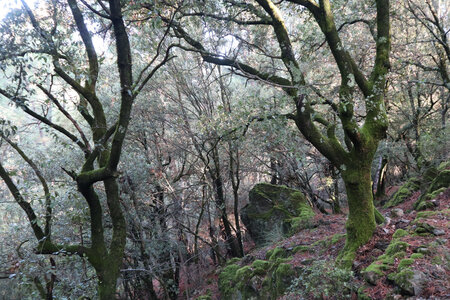 2024_09_09 De Génolhac aux Mènes, IMG_7909 Entre Belle-Poelle et Terre-Rouge