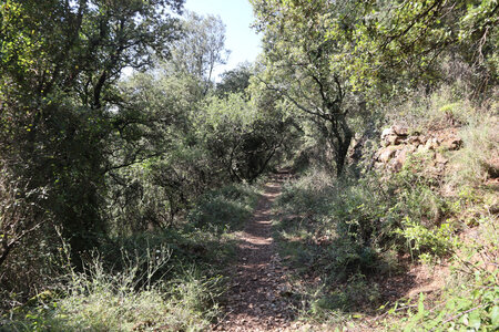 2024_09_10 Des Mènes à Alès, IMG_8018 Le sentier de la Fontaine des Mamans au Mas-Dieu