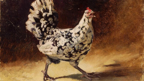 Animaux de la Ferme, Jean Lulves  Une poule