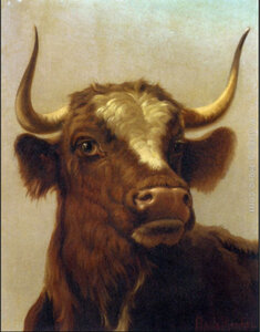 Animaux de la Ferme, Rosa Bonheur Head of a Bull