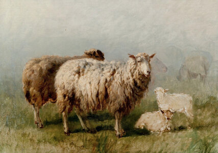 Animaux de la Ferme, Rosa Bonheur Moutons