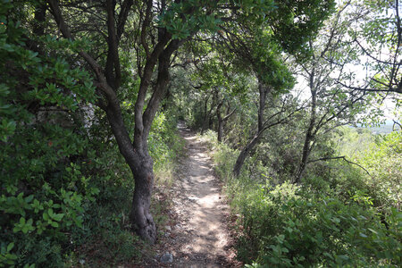 2024_09_11 D'Alès à Vézénobres, IMG_8113 La montée dans le bois Rascalas