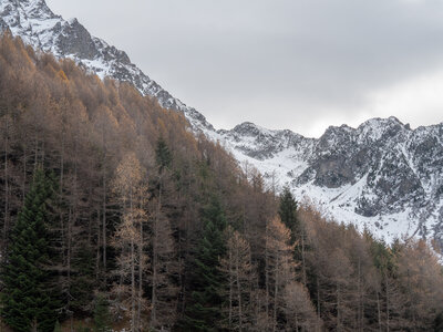 28-11-24 col des Vachers le Laton, _1097479