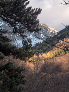 28-11-24 col des Vachers le Laton, _1097524