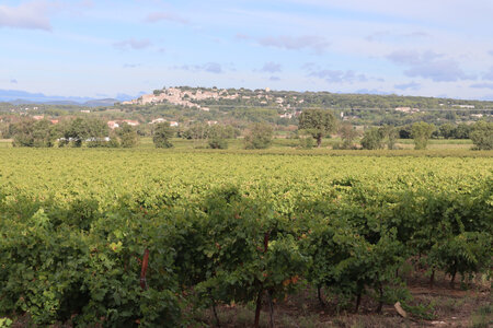 2024_09_12 De Vézénobres à Saint-Chaptes, IMG_8160 Vue sur Vézénobres depuis le sentier vers Ners