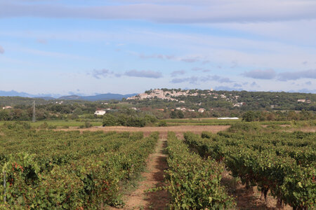 2024_09_12 De Vézénobres à Saint-Chaptes, IMG_8161 Vue sur Vézénobres depuis le sentier vers Ners