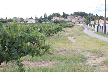 2024_09_12 De Vézénobres à Saint-Chaptes, IMG_8176 L’approche de Lascours