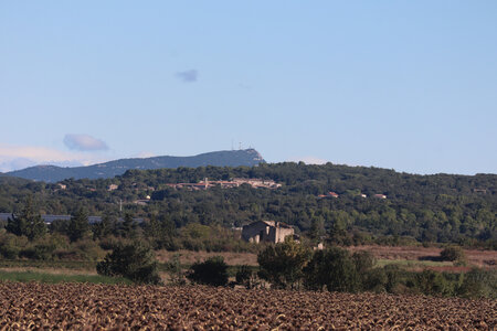 2024_09_13 De Saint-Chaptes à La Calmette, IMG_8226 Le mont Bouquet vu entre le Mas du Luc et le Mas d’Arnet