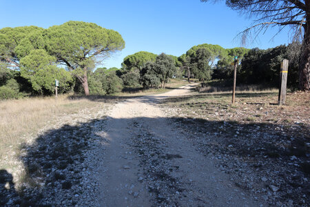 2024_09_14 De La Calmette à Nîmes, IMG_8291 Entre les Pins Noirs et la Grande Seule