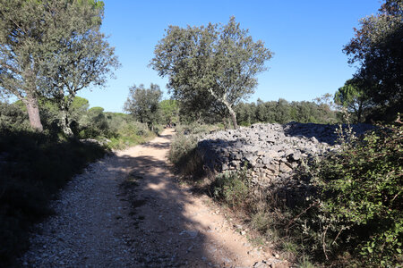 2024_09_14 De La Calmette à Nîmes, IMG_8304 La Grande Seule