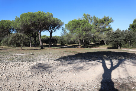 2024_09_14 De La Calmette à Nîmes, IMG_8305 Entre la Grande Seule et le Mas de Ponge