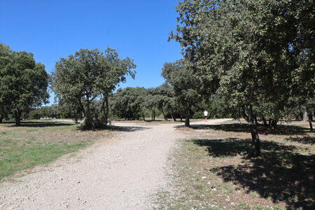 2024_09_14 De La Calmette à Nîmes, IMG_8314 Le bois des Espeisses