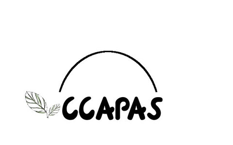 logo CCPAS. work in progress, V4Logo3