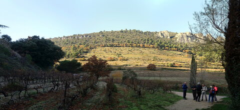 rando Dentelles de Montmirail, P2087653-55_v1