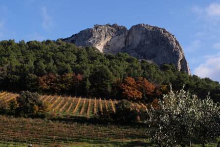 rando Dentelles de Montmirail, P2087657