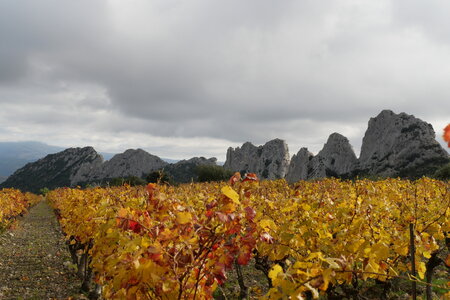 rando Dentelles de Montmirail, P2087618