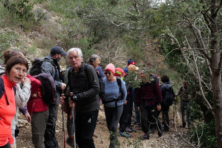 rando Dentelles de Montmirail, P2087614