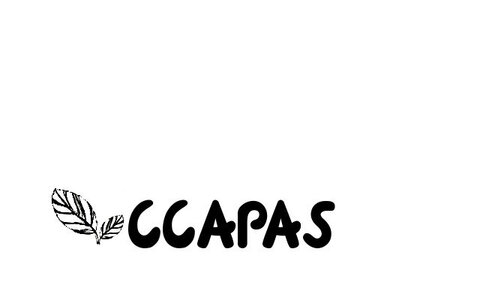 logo CCPAS. work in progress, V4Logo5