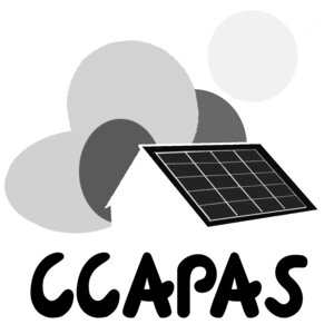 logo CCPAS. work in progress, logoV6gris