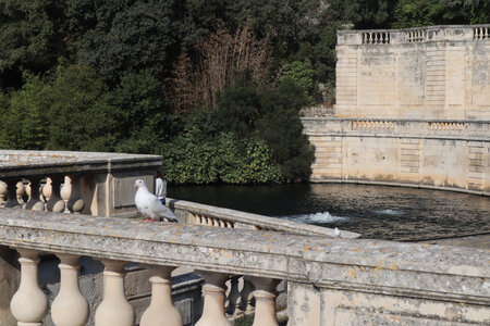 2024_09_17_Nîmes, IMG_8800 Le jardin de la Fontaine