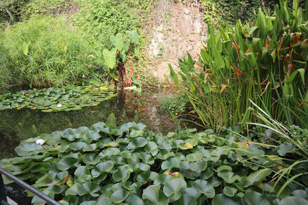 2024_09_17_Nîmes, IMG_8820 Le jardin de la Fontaine