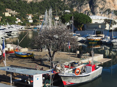 BEAULIEU ST JEAN CAP FERRAT, P1060026