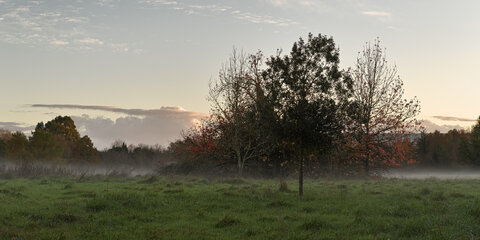 @fmbdx@piaille.fr 2024, Réserve des barrails - Bois de Bordeaux